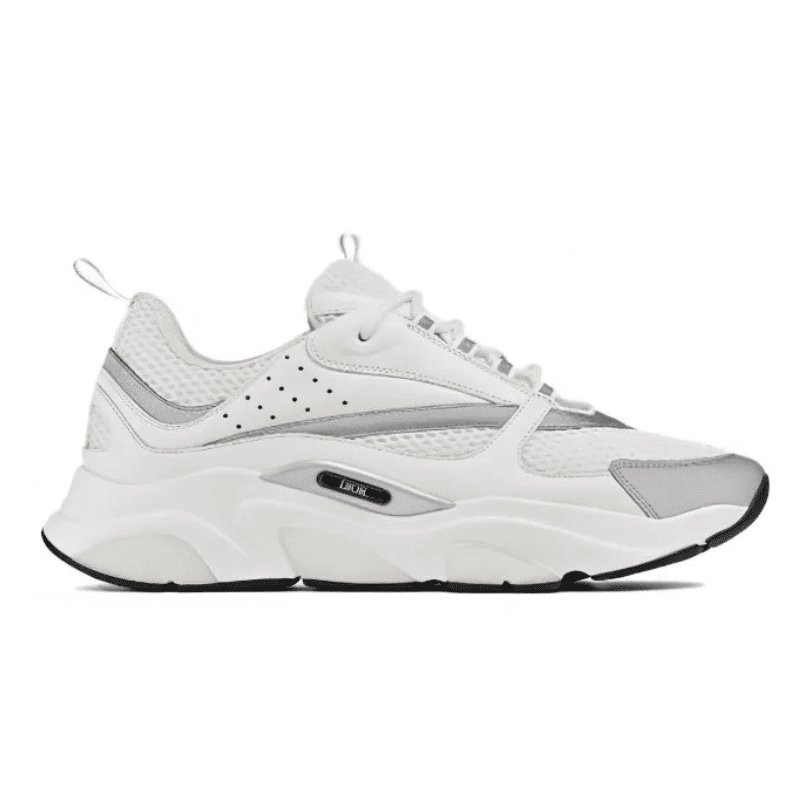 Dior B22 'White Grey'