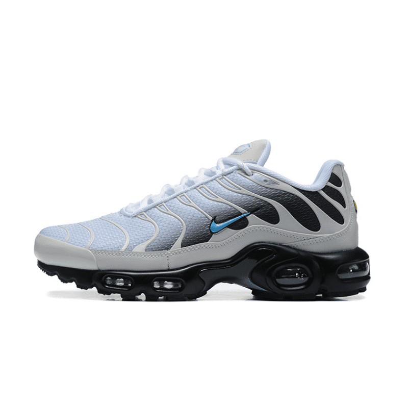 Air Max TN Plus Platinum Dark Blue