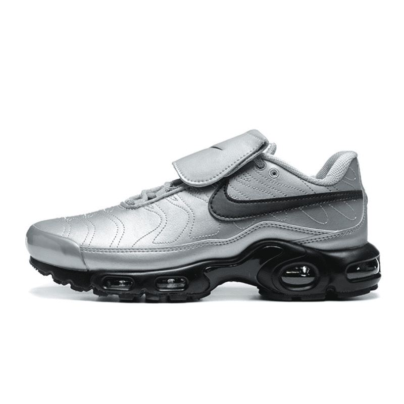 Nike Air Max Plus Tiempo Wolf Grey